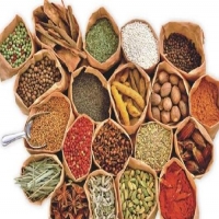 蒸發(fā)光散射檢測(cè)法在中藥領(lǐng)域蘊(yùn)藏極大的效用